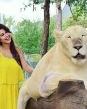 Actress Sonarika Bhadoria Pictures 01