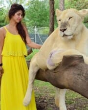 Actress Sonarika Bhadoria Sexy Hot Pictures 01