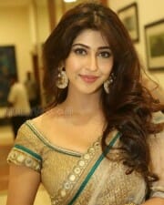Actress Sonarika Bhadoria Sexy Saree Photos 07