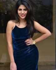 Actress Sumeeta Bajaj at Lie Lovers Movie Teaser Launch Photos 05