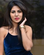 Actress Sumeeta Bajaj at Lie Lovers Movie Teaser Launch Photos 06