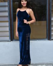 Actress Sumeeta Bajaj at Lie Lovers Movie Teaser Launch Photos 17