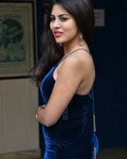 Actress Sumeeta Bajaj at Lie Lovers Movie Teaser Launch Photos 25