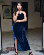 Actress Sumeeta Bajaj at Lie Lovers Movie Teaser Launch Photos 27