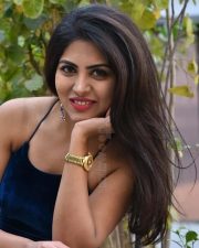 Actress Sumeeta Bajaj at Lie Lovers Movie Teaser Launch Photos 31