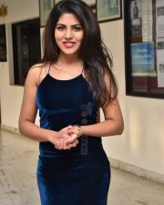 Actress Sumeeta Bajaj at Lie Lovers Movie Teaser Launch Photos 49