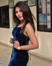Actress Sumeeta Bajaj at Lie Lovers Movie Teaser Launch Photos 52