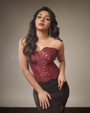Alluring Actress Mirnaa Menon in a Burgundy Lace Corset Top Photos 02
