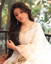 Birthmark Actress Mirnaa Menon in a White Saree Pictures 02