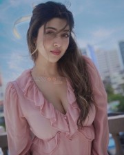 Charming Sexy Sonarika Bhadoria Showing Cleavage in a Light Pink Dress Pictures 02