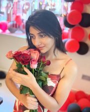 Crazy Fellow Actress Mirnaa Menon Valentines Day Photos 04