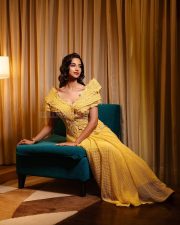 Dream Girl of South Indian Cinema Meenakshi Chaudhary in a Yellow Full Length Dress Photos 02