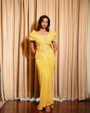 Dream Girl of South Indian Cinema Meenakshi Chaudhary in a Yellow Full Length Dress Photos 05