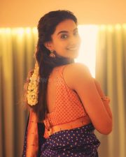 Gorgeous Meenakshi Chaudhary in a Traditional Silk Saree Pictures 03