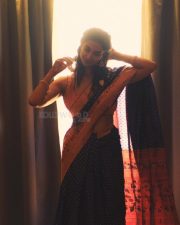 Gorgeous Meenakshi Chaudhary in a Traditional Silk Saree Pictures 05