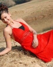 Madalasa Sharma Hot Photos 39