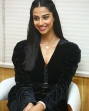 Meenakshi Choudhary at Khiladi Movie Interview Stills 01