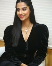 Meenakshi Choudhary at Khiladi Movie Interview Stills 02