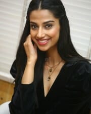 Meenakshi Choudhary at Khiladi Movie Interview Stills 07