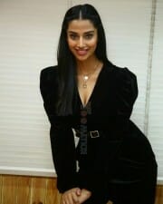 Meenakshi Choudhary at Khiladi Movie Interview Stills 18