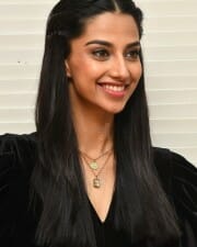 Meenakshi Choudhary at Khiladi Movie Interview Stills 22