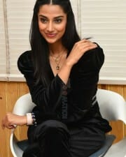Meenakshi Choudhary at Khiladi Movie Interview Stills 27