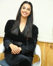 Meenakshi Choudhary at Khiladi Movie Interview Stills 38