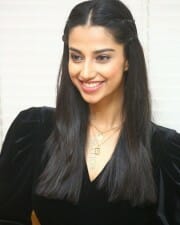 Meenakshi Choudhary at Khiladi Movie Interview Stills 40