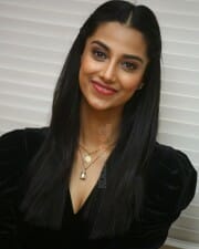 Meenakshi Choudhary at Khiladi Movie Interview Stills 43
