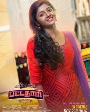 Pattathari Movie Heroine Aditi Photos 09