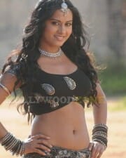 Rachna Maurya Hot Sexy Stills 17