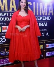 Sexy Meenakshi Chaudhary at SIIMA Press Meet Photos 19