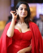 Sexy Meenakshi Chaudhary at SIIMA Press Meet Photos 32