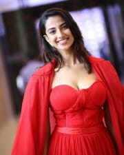 Sexy Meenakshi Chaudhary at SIIMA Press Meet Photos 36
