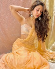 Sizzling Sonarika Bhadoria Cleavage in a Yellow Saree Photos 03