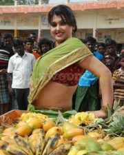 Sona Hot Pictures 55