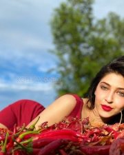 Spicy Hot Sonarika Bhadoria Photos 02