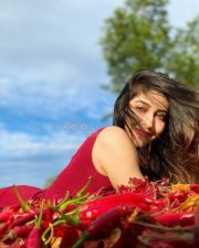 Spicy Hot Sonarika Bhadoria Photos 03