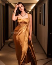 Stunning Glamour Beauty Meenakshi Chaudhary in a Golden Maxi Dress Photos 04