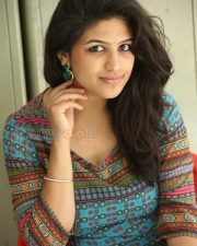 Supriya Isola At Bhoo Movie Success Meet Photos 11 Supriya Isola At Bhoo Movie Success Meet Photos 11