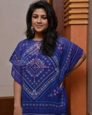 Supriya Isola At Bhoo Press Meet Pictures 06