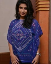 Supriya Isola At Bhoo Press Meet Pictures 07