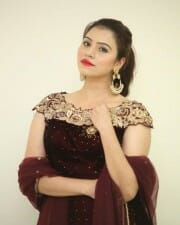 Telugu Actress Priyanka Raman New Photoshoot Pictures 12