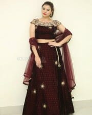 Telugu Actress Priyanka Raman New Photoshoot Pictures 20