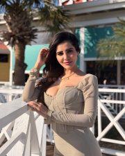 A Masterpiece Actress Ashu Reddy Busty Cleavage in a Long Sleeved Beige Dress with a Corset Style Top Photos 01
