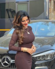 Desirable Ashu Reddy in a Brown Long Sleeved Bodycon Maxi Dress Pictures 01