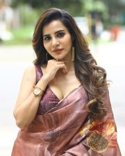 Glamorous Ashu Reddy in a Brown Floral Saree with a Sleeveless Blouse Photos 02