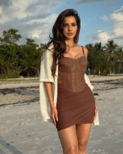 Sizzling Ashu Reddy in a Brown Corset Dress and White Shrug Photos 04