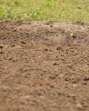 Kannagi Movie Pictures 07