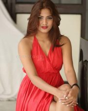 Actress Sravani Nikki At Life Anubhavinchu Raja Movie Press Meet Pictures 21